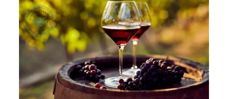 Wine and Glamping - Glamping Fanatics Wine and Glamping