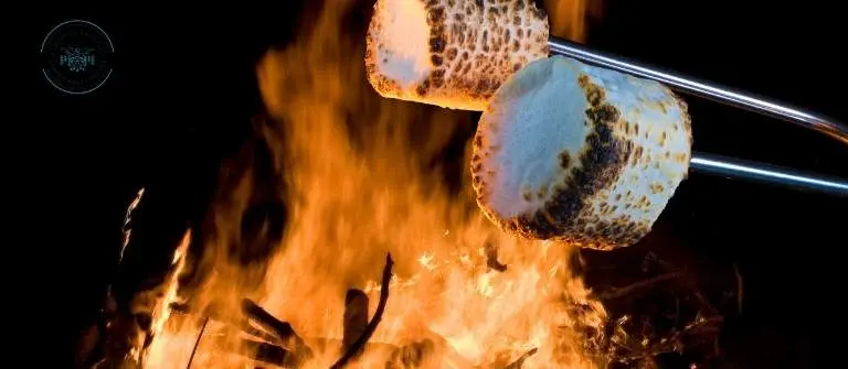 Zonder titel (768 x 335 px) (6)